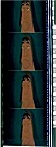 Click on this image to get the full size version
